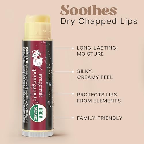 USDA Organic Lip Balm - USA Made & All Natural 4 Pack Multi Flavor Lips Moisturizer, Valentines Day Gifts, Moisturizing Lip Care, Beauty & Birthday Gifts, Moisturizer Chapstick Care for Dry Lips